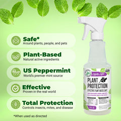 Indoor houseplants enjoy Mighty Mint protection against common pests
