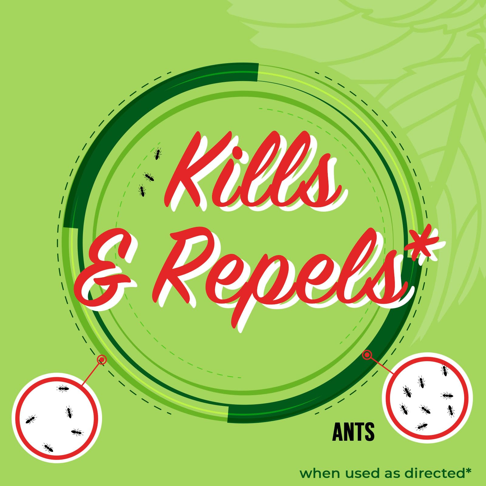 Mighty Mint bottle illustrating indoor and outdoor use areas for ant control.