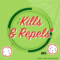 Mighty Mint bottle illustrating indoor and outdoor use areas for ant control.