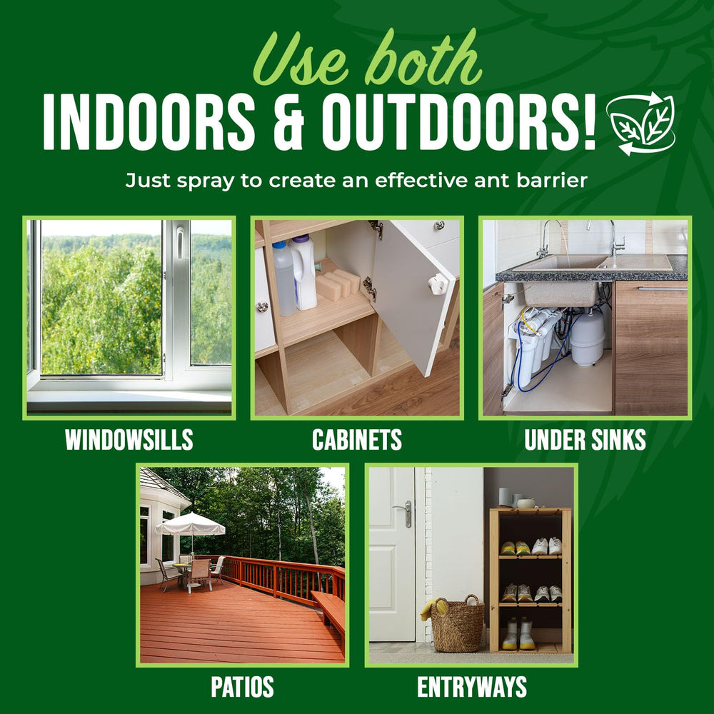 Mighty Mint on kitchen, bathroom, and patio areas for pest control.