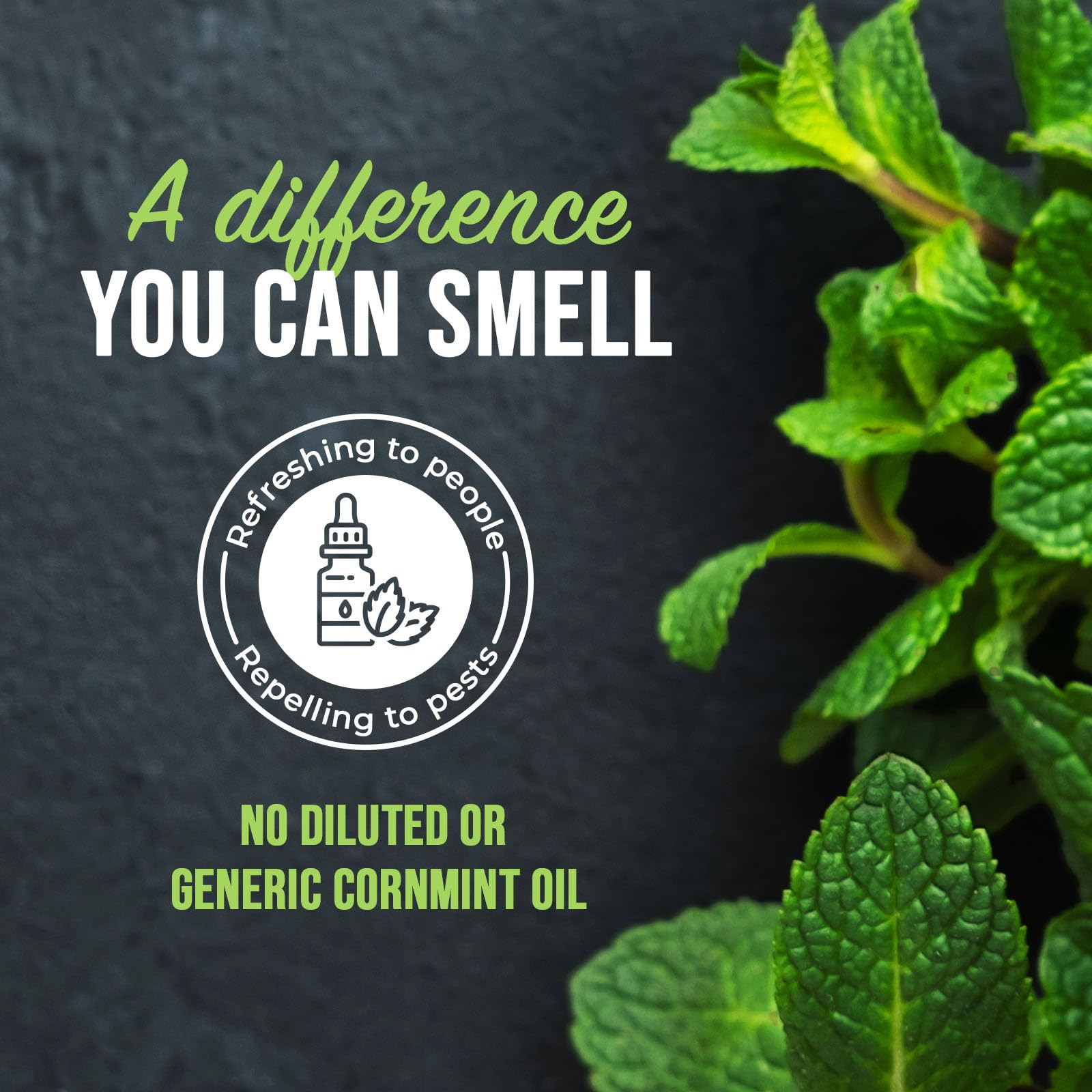Mighty Mint is safe for kitchens and bathrooms when used as directed.