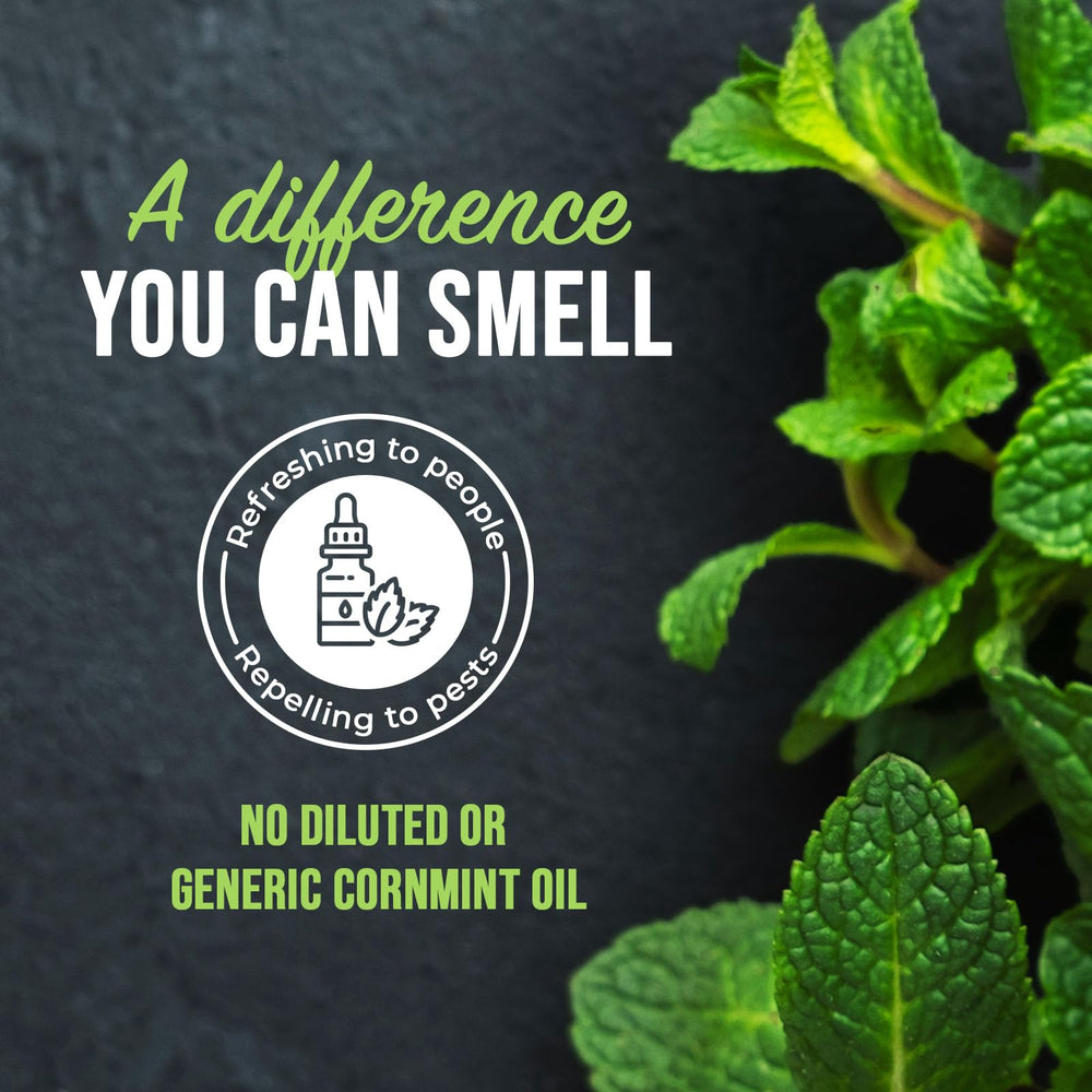 Mighty Mint is safe for kitchens and bathrooms when used as directed.