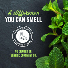 Mighty Mint is safe for kitchens and bathrooms when used as directed.