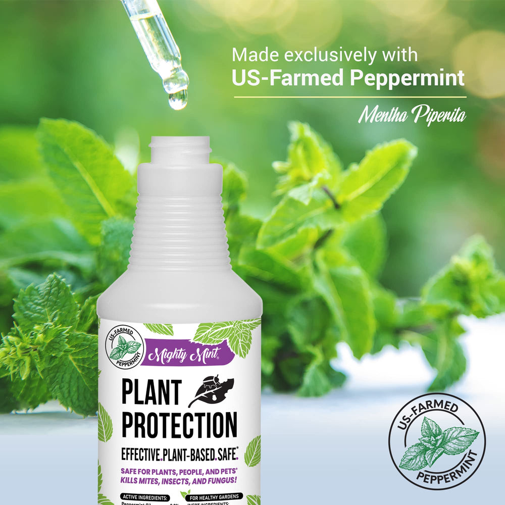 Close-up of the Mighty Mint label on the peppermint oil spray bottle.