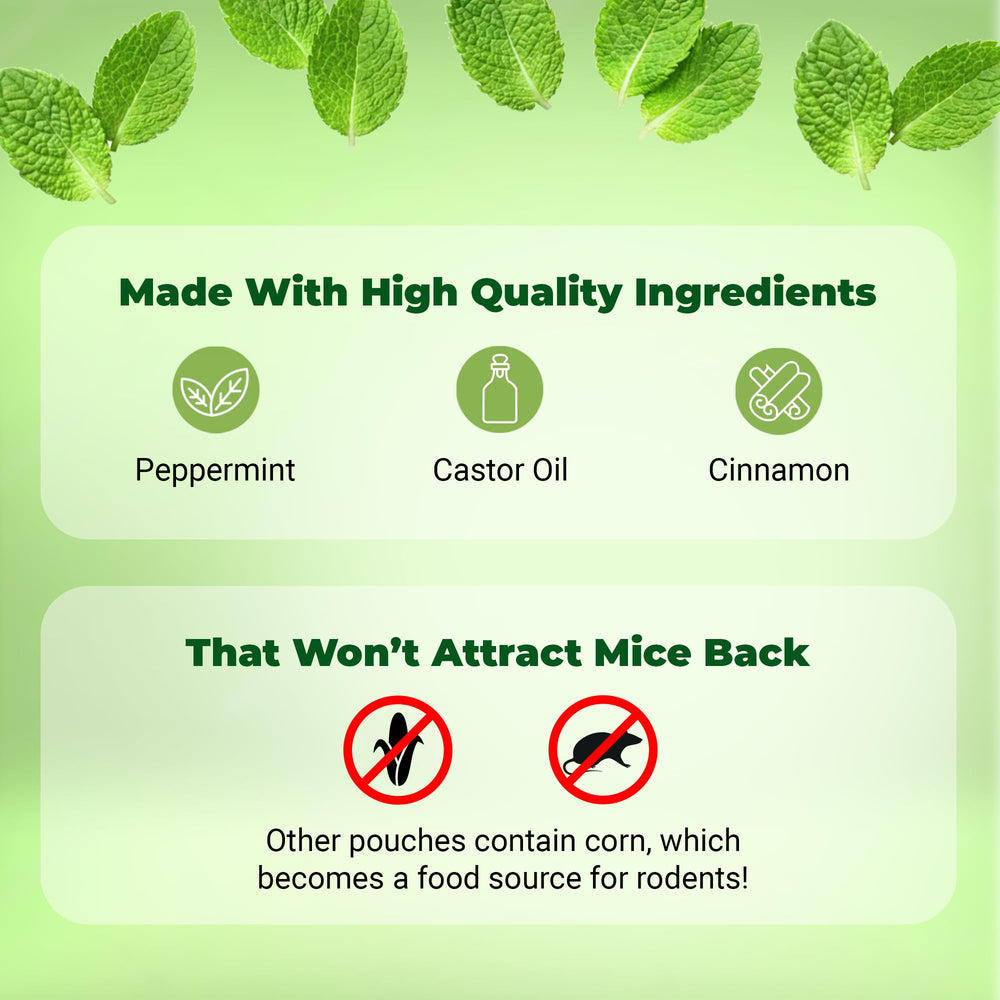 Mighty Mint pouch in basement provides rodent deterrence and freshness