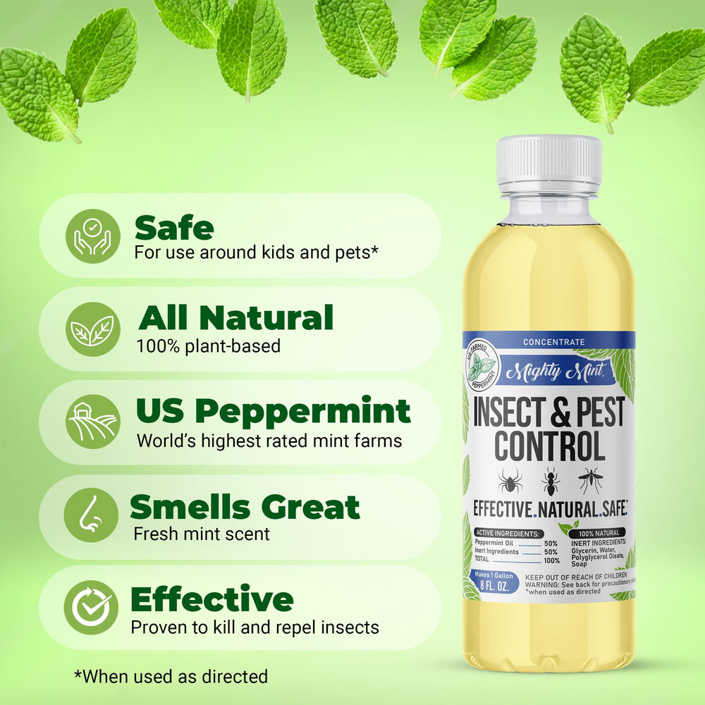 Mighty Mint outdoor spray on patio to deter pests near entryways.