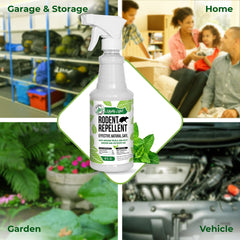 Mighty Mint outdoor patio spray deterring mice and rats