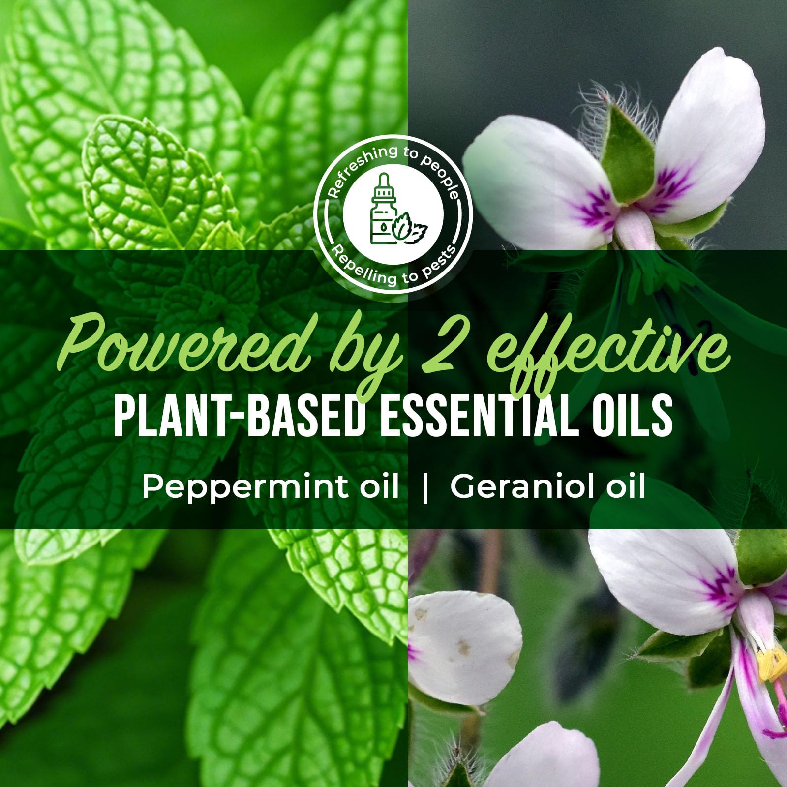 Mighty Mint outdoor patio treatment with plant-based formula for porch protection