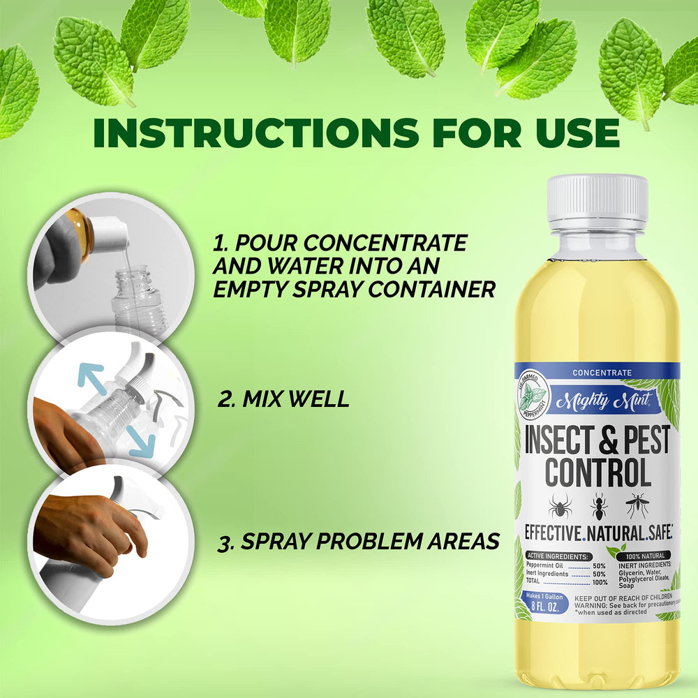 Mighty Mint peppermint oil concentrate ready for water dilution for indoor/outdoor use.