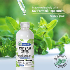 Mighty Mint peppermint oil used near kitchen window to deter pests.