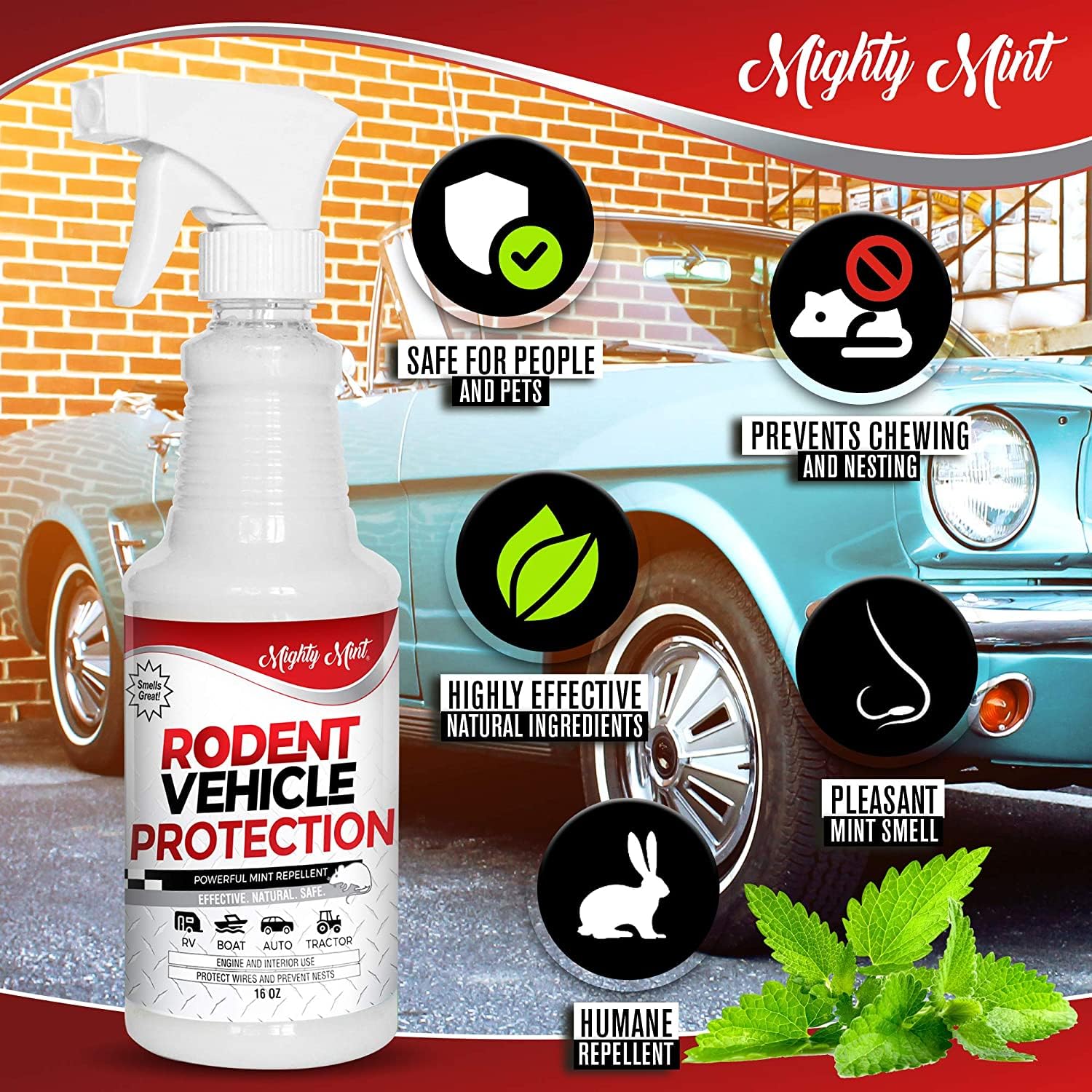 Mighty Mint spray in engine compartment deters rodents from wiring.