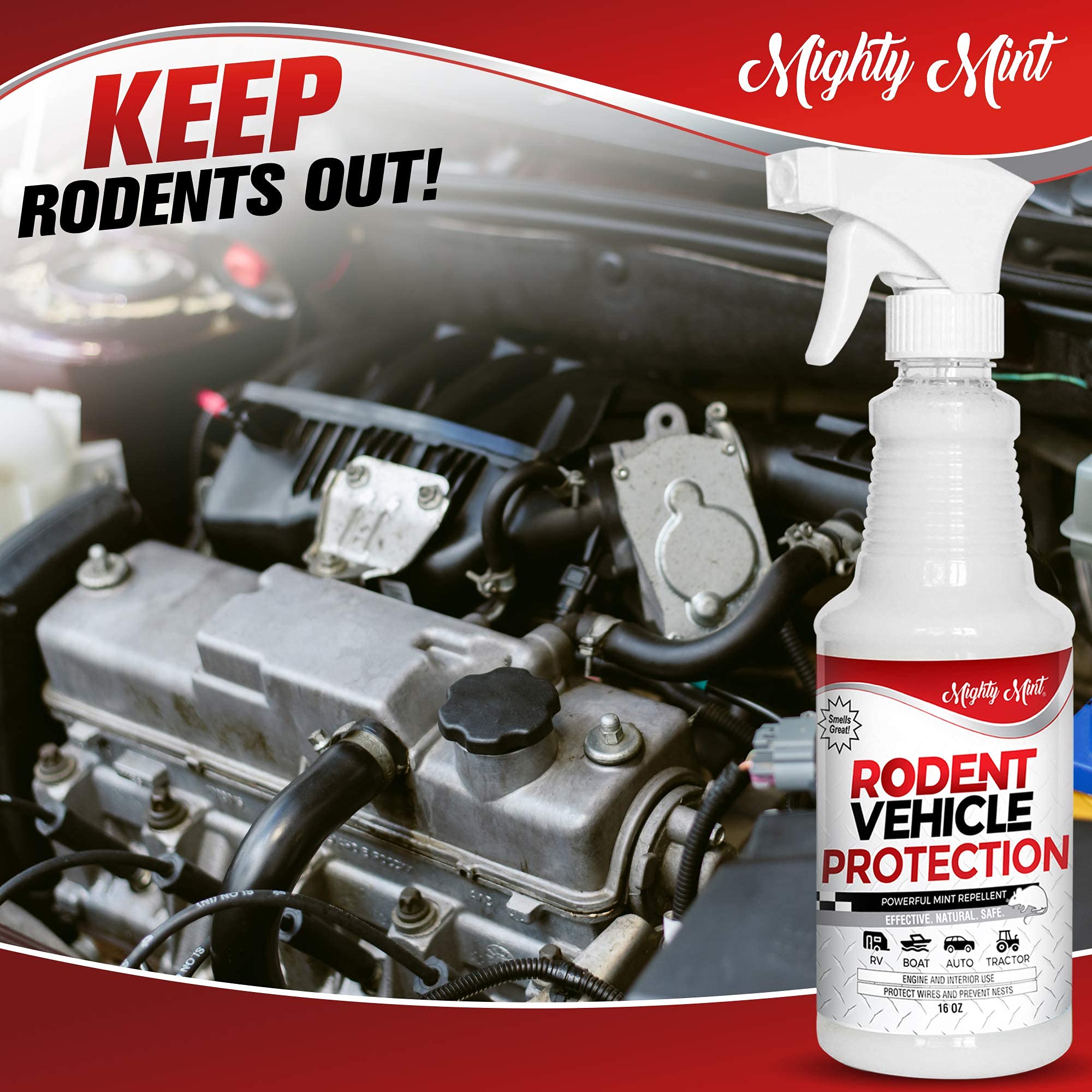 Mighty Mint spray in glove compartment protects sensitive components.