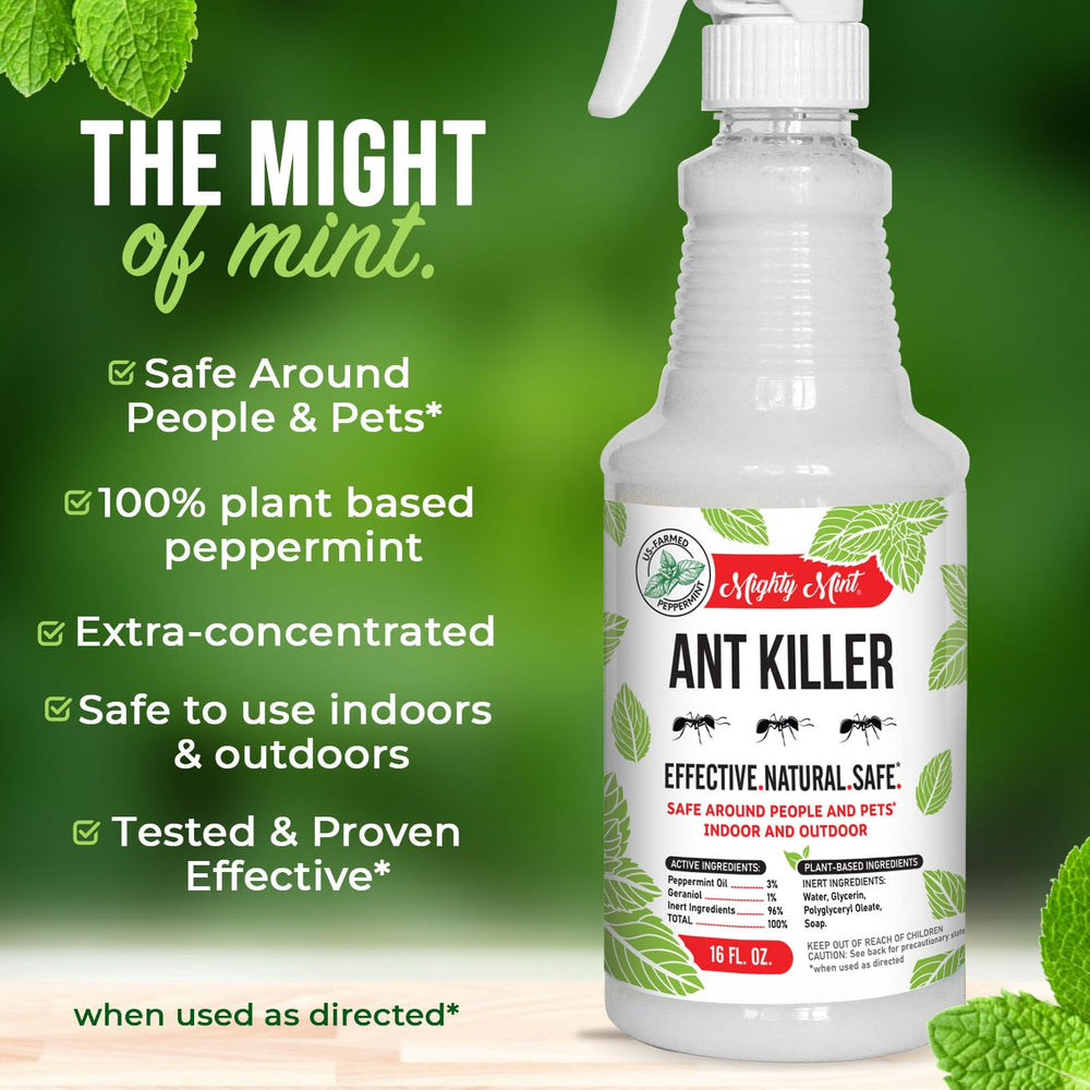 Mighty Mint 16 oz ready-to-use bottle for quick treatments.