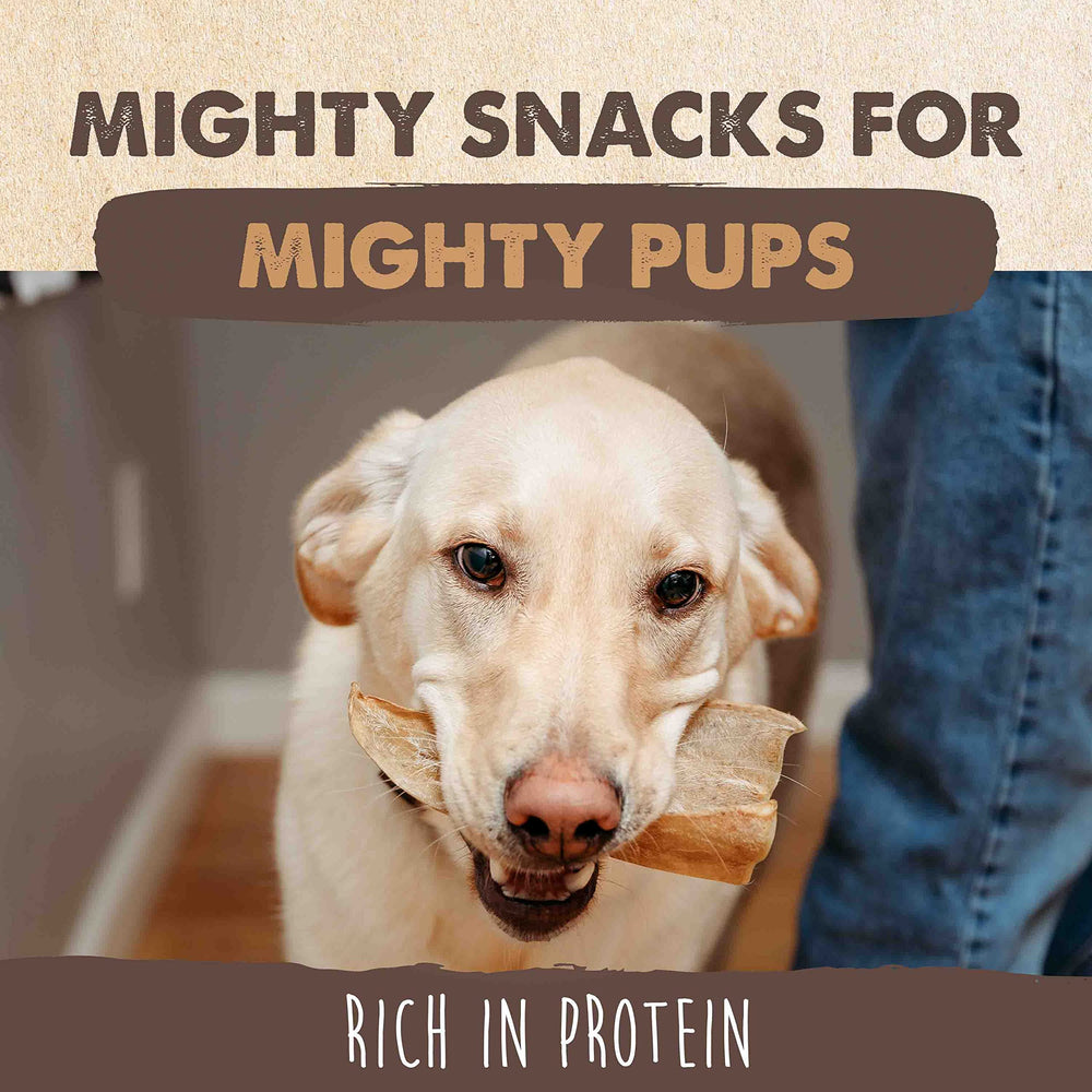 Mighty Paw 12-pack cow ears for convenient daily rewards.