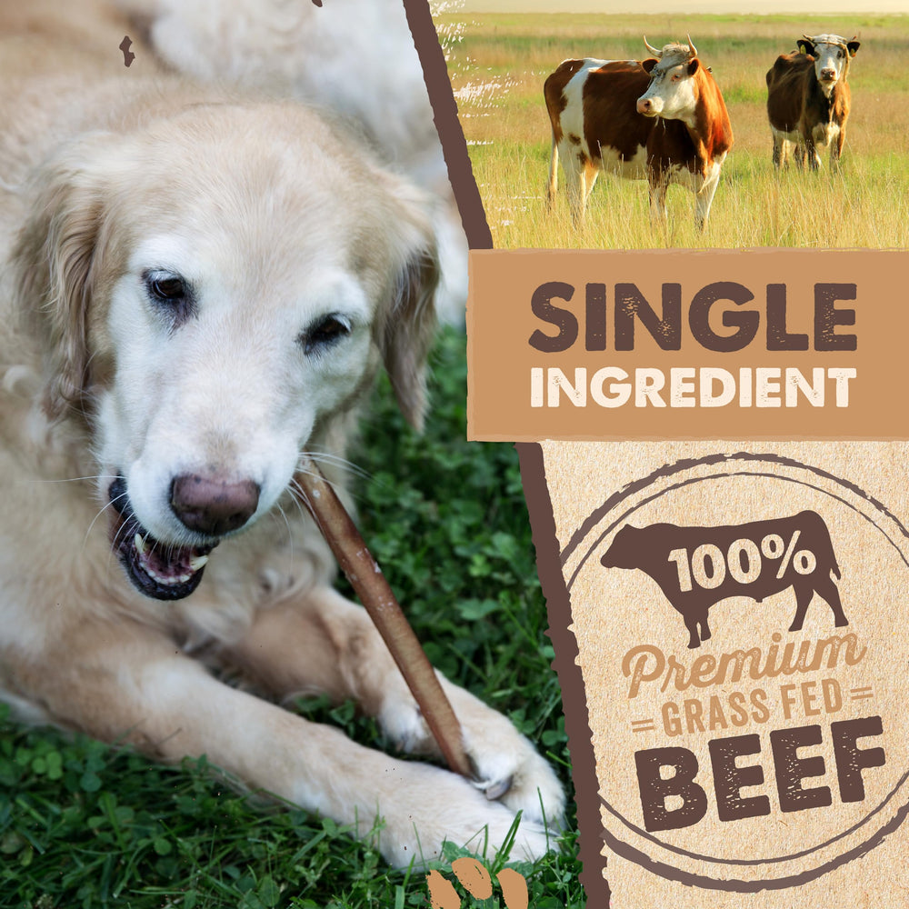 Mighty Paw beef chew 6in suited for medium and small dogs