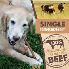 Mighty Paw beef chew 6in suited for medium and small dogs