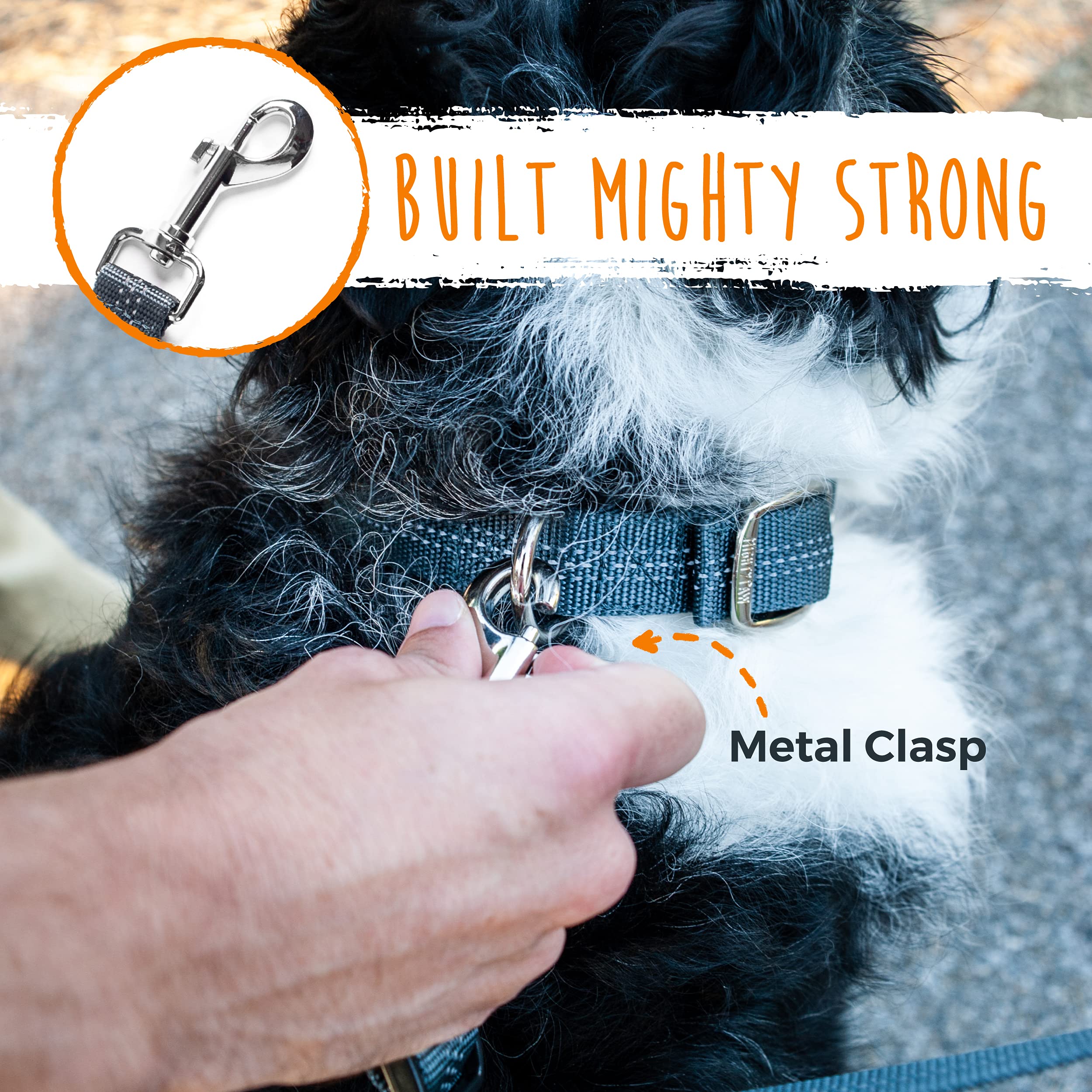 Attach to everyday leash or use the padded handle on Mighty Paw dual leash