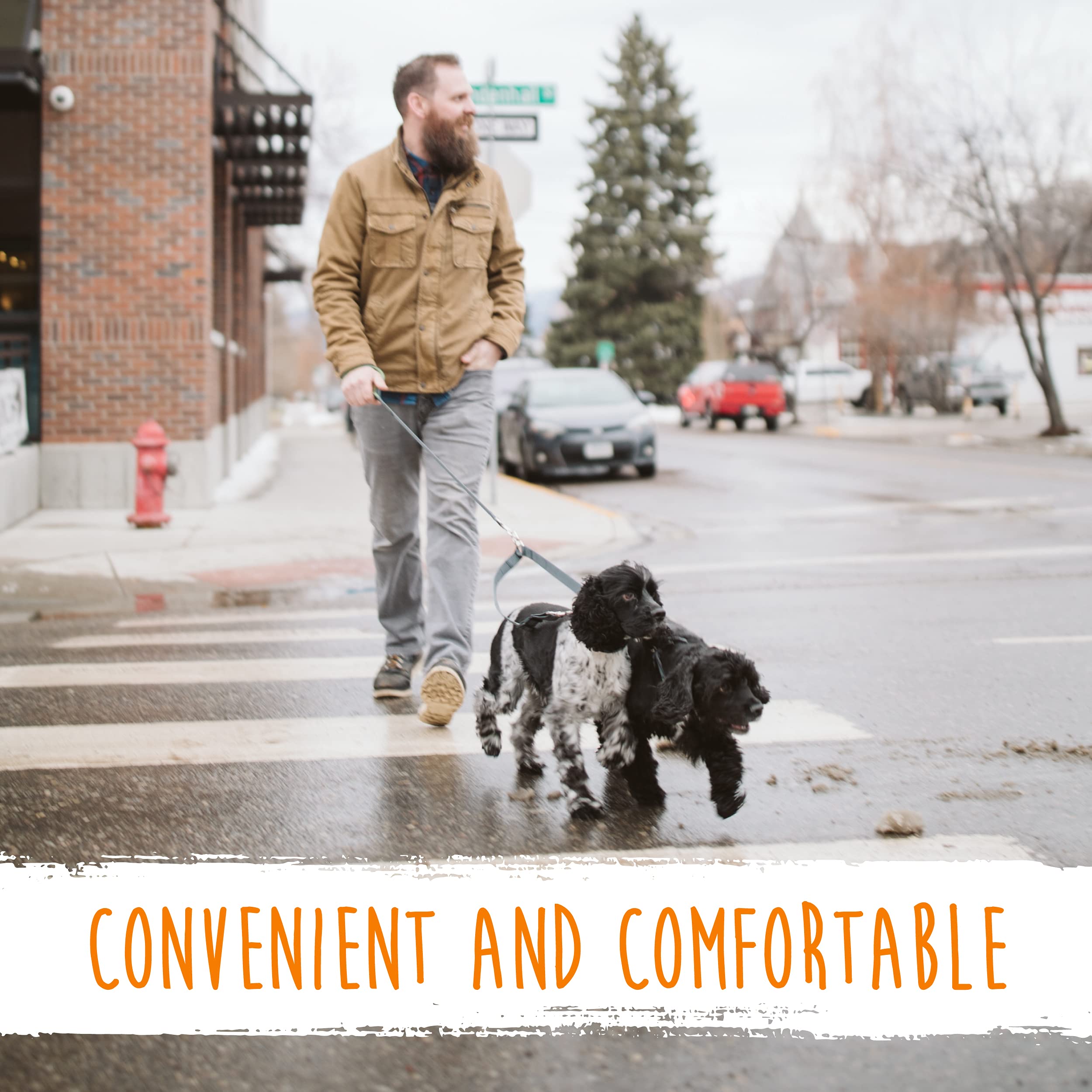 Quick-adjust length from 16 to 24 inches on Mighty Paw dog leash