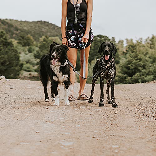 USA-made Mighty Paw product designed for adventures with two dogs
