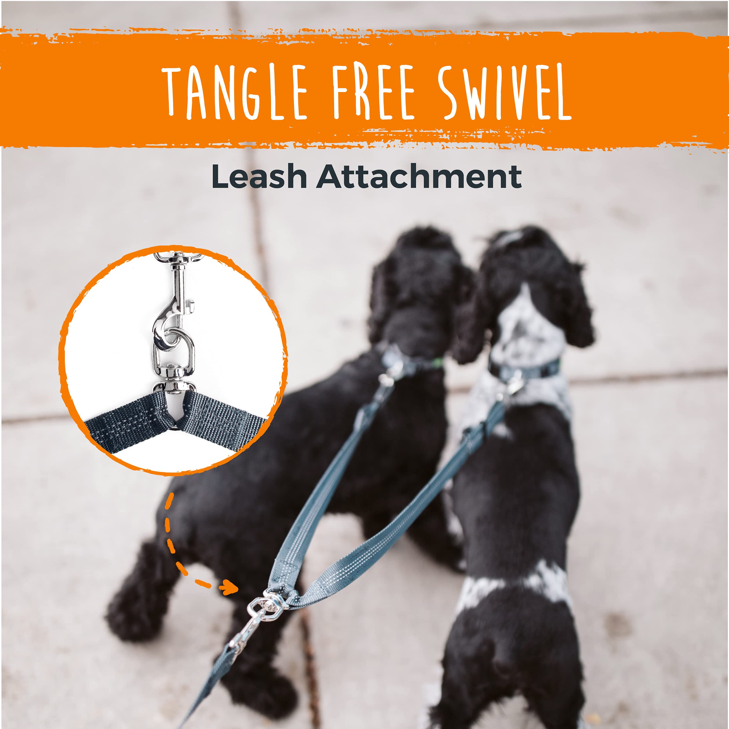 Split lead design of Mighty Paw leash simplifies walking two pets safely