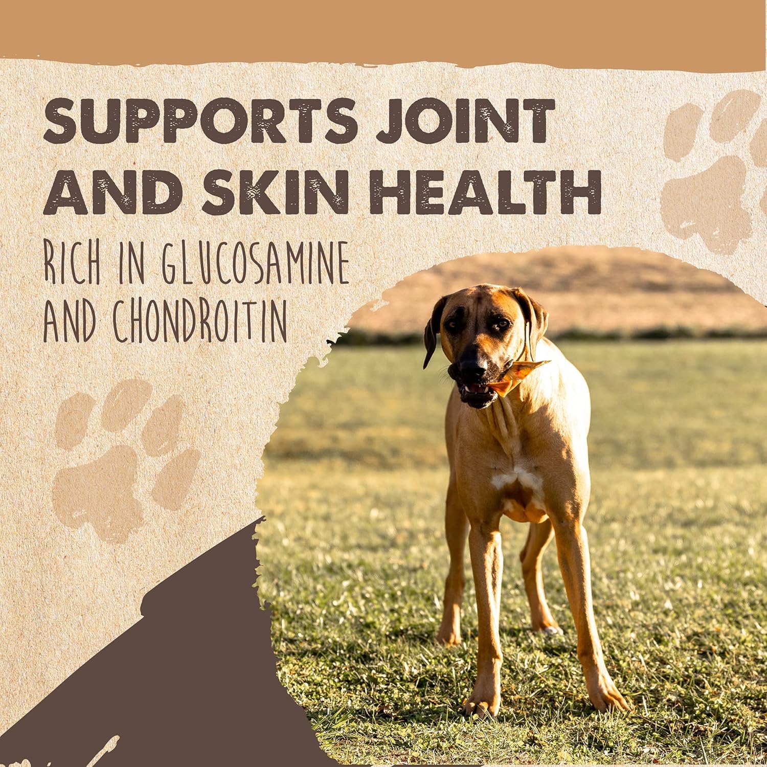 Mighty Paw Half Pig Ears dense texture closeup ideal for long-lasting chew sessions.