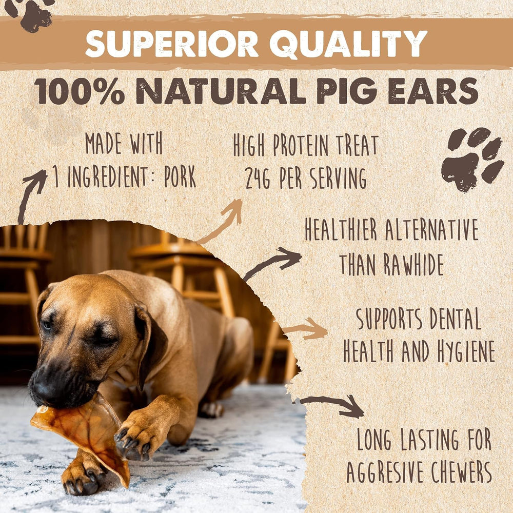 Mighty Paw Half Pig Ears thick ears closeup highlighting dense chew texture.