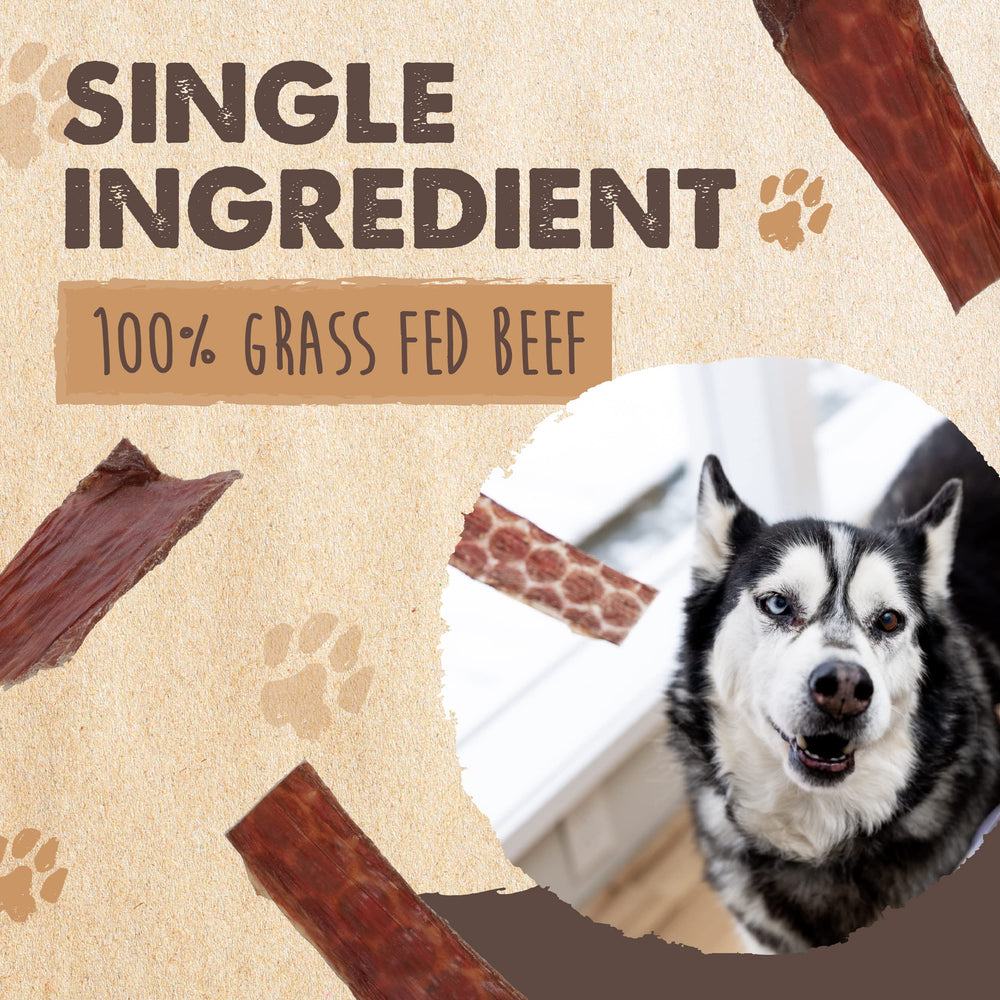 Mighty Paw Naturals 14oz jerky pack shown for convenient home treats