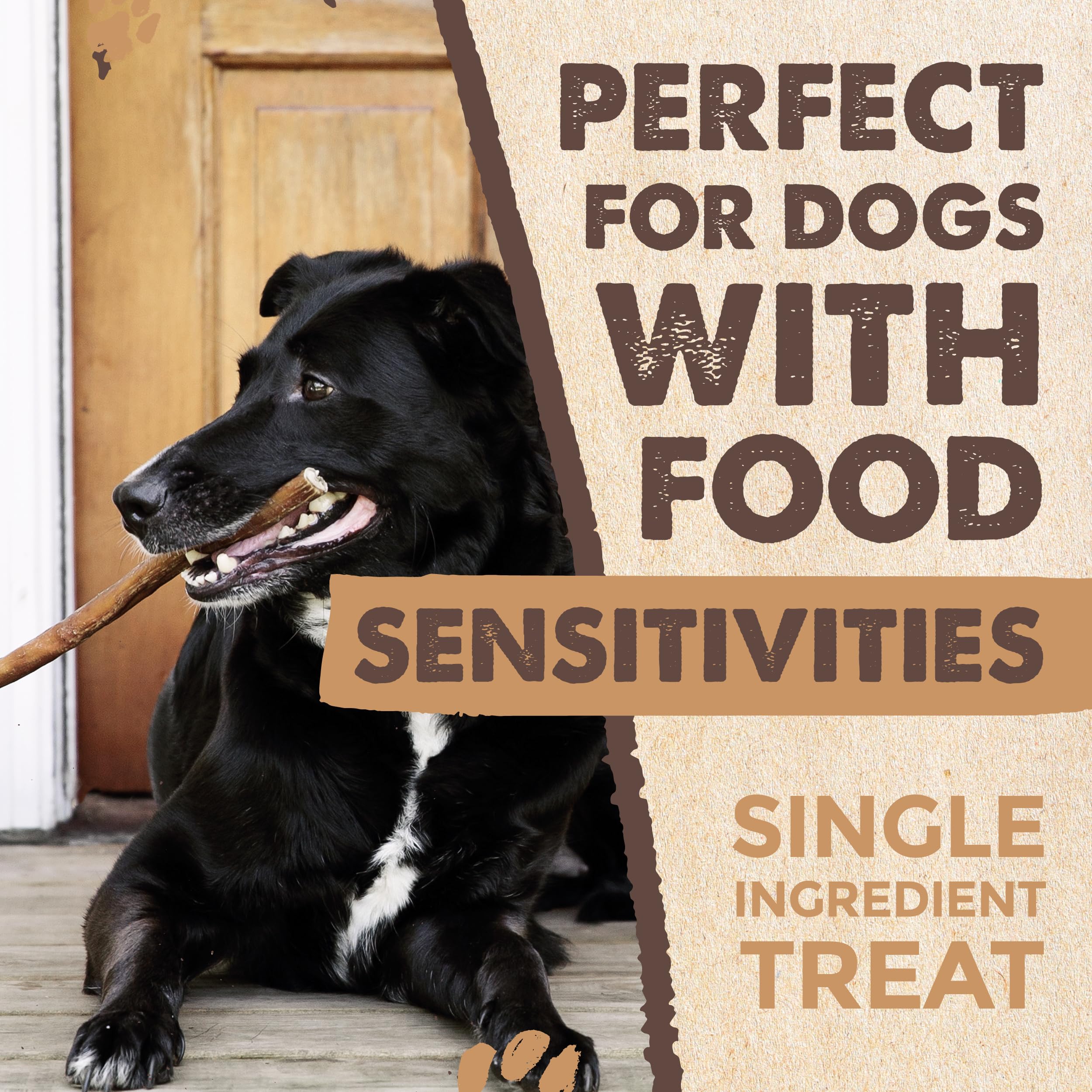 Mighty Paw Naturals 25 pack bully sticks—great value for regular dog treats.