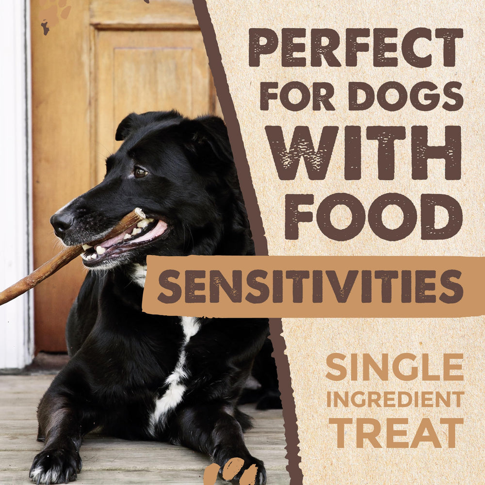 Mighty Paw Naturals 25 pack bully sticks—great value for regular dog treats.