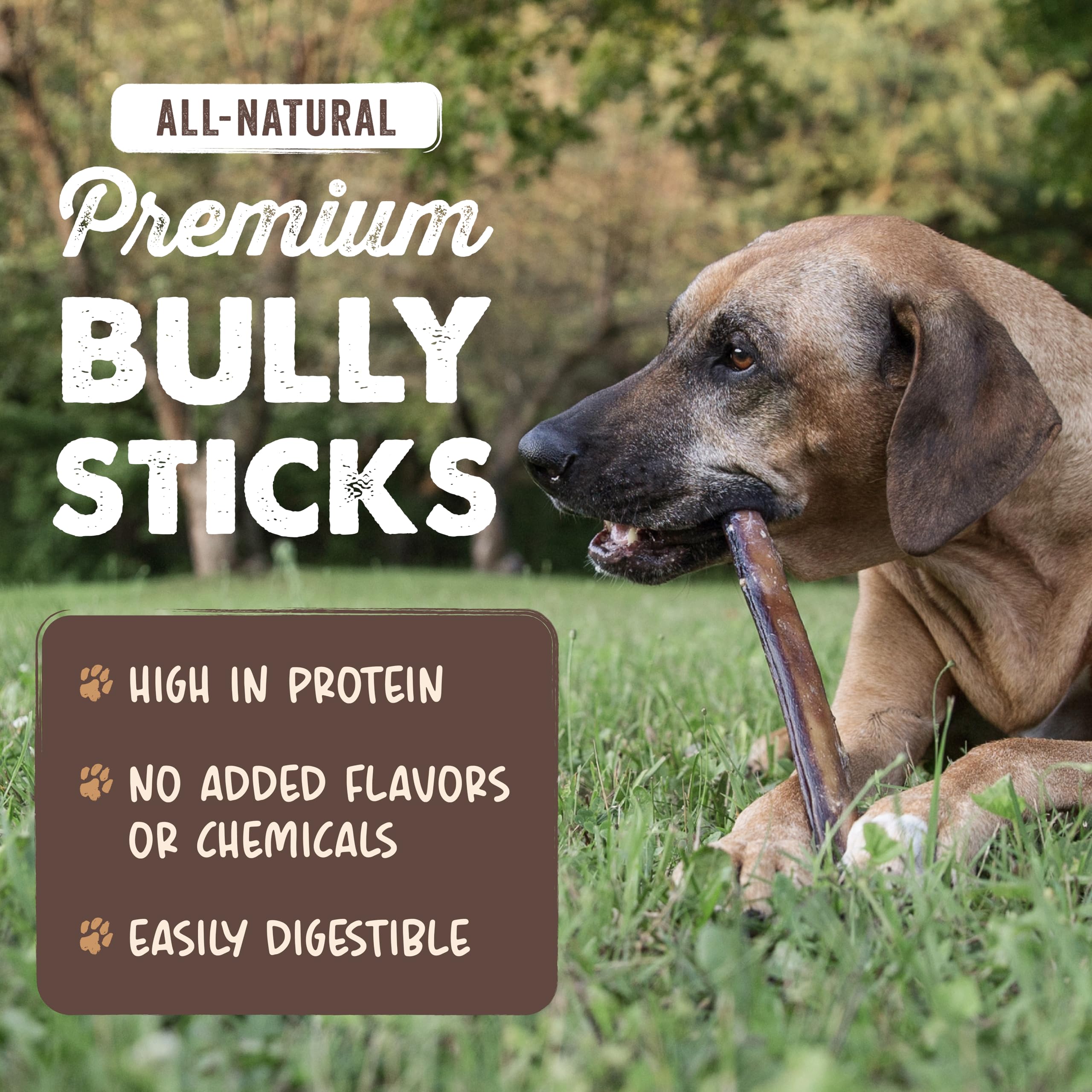 Mighty Paw Naturals Bully Sticks : adaptés petits et moyens chiens pour une mastication saine