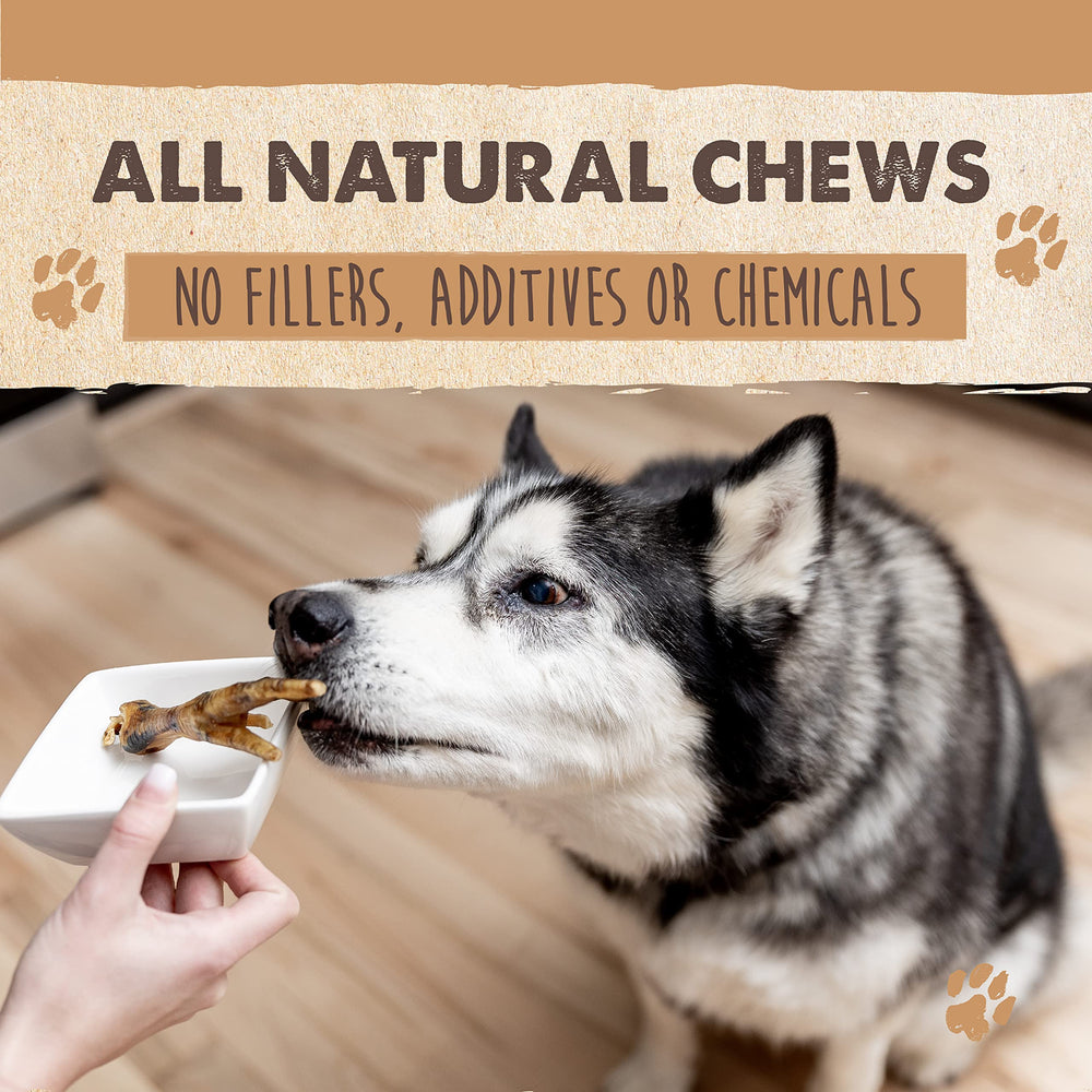 Pack-shot of Mighty Paw Naturals chicken feet treats showing simple ingredients.