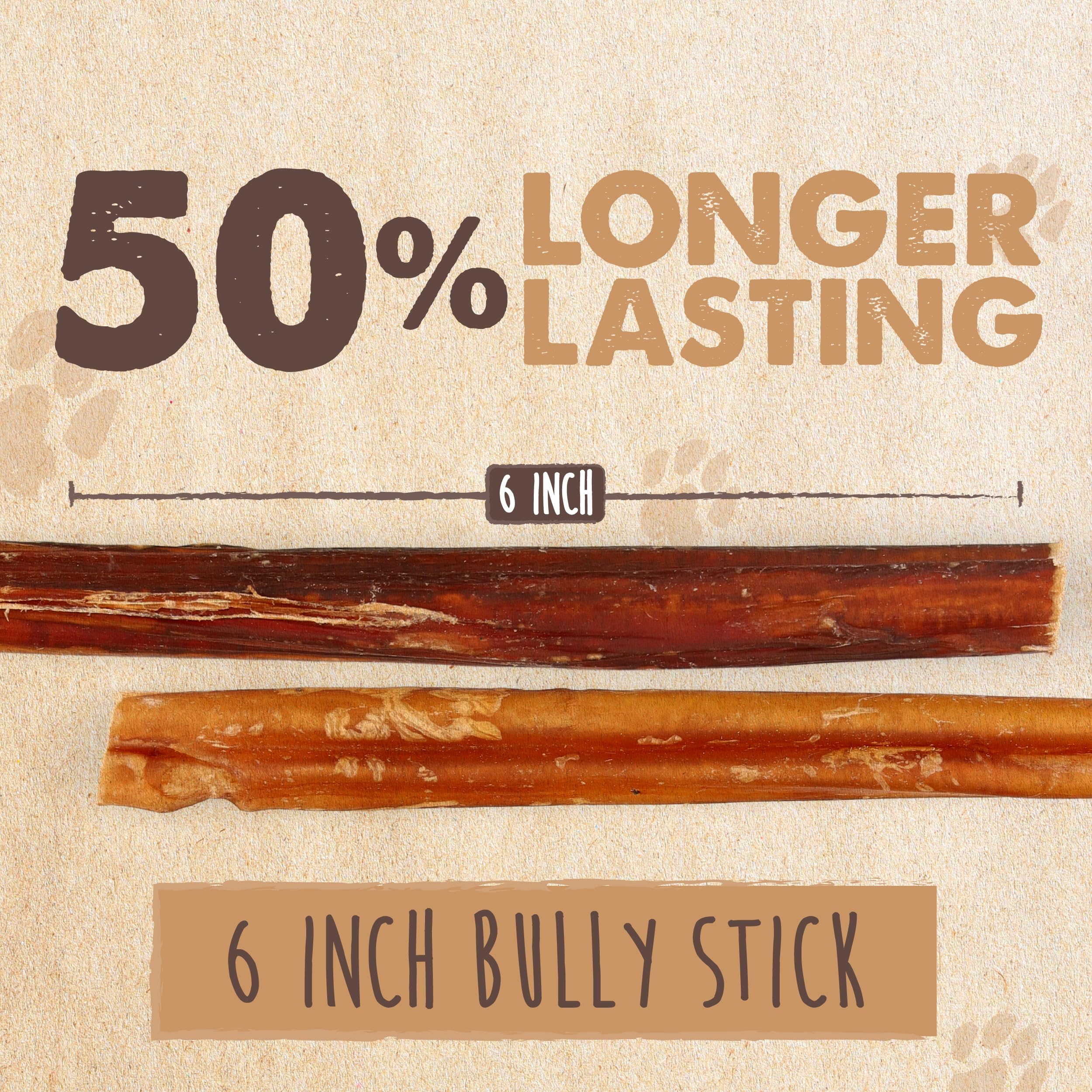 Mighty Paw Naturals medium dog bully stick—balanced chew for everyday play.