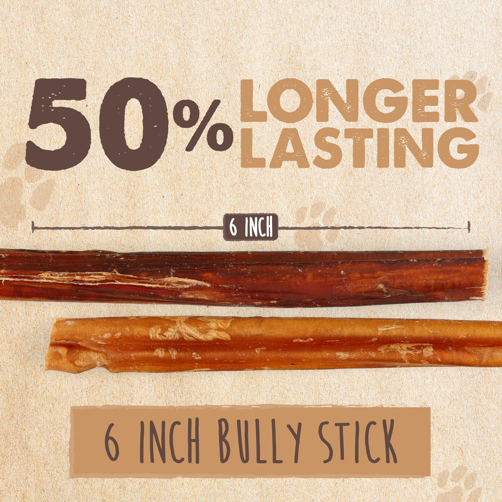 Mighty Paw Naturals medium dog bully stick—balanced chew for everyday play.