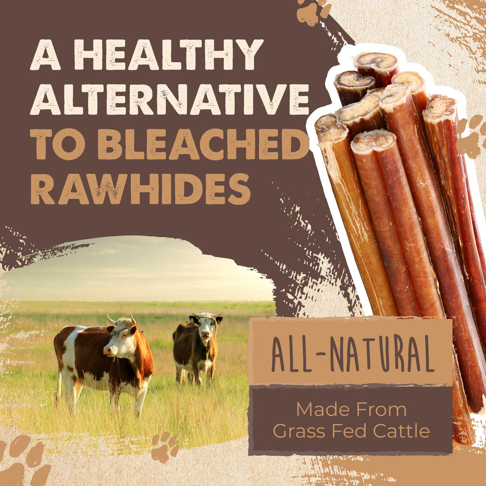 Mighty Paw Naturals packaging and branding—easy to shop and reuse.