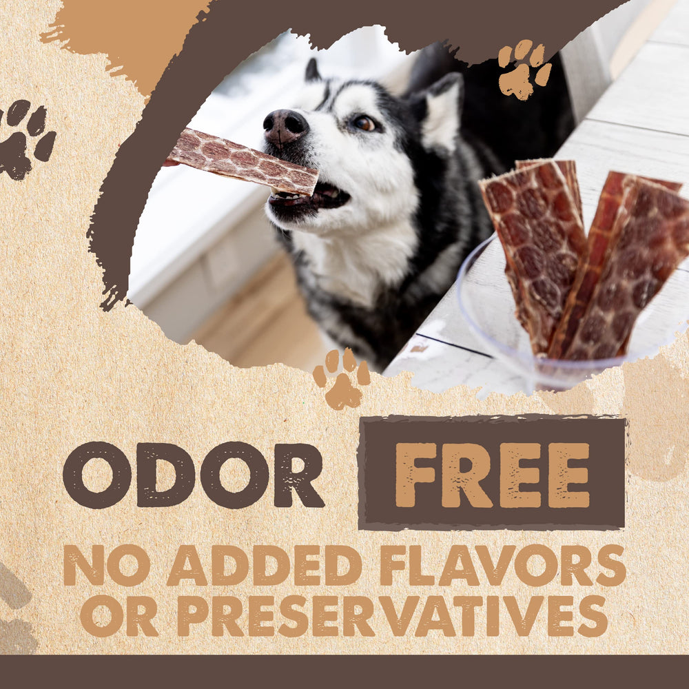 Small dog enjoys Mighty Paw Naturals jerky snack
