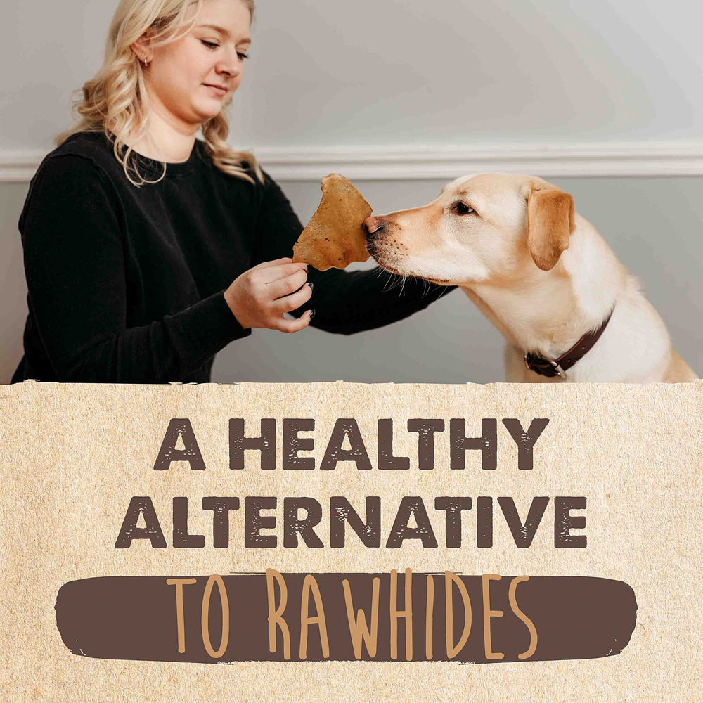 Mighty Paw single-ingredient cow ears, grain-free snack for sensitive stomachs.