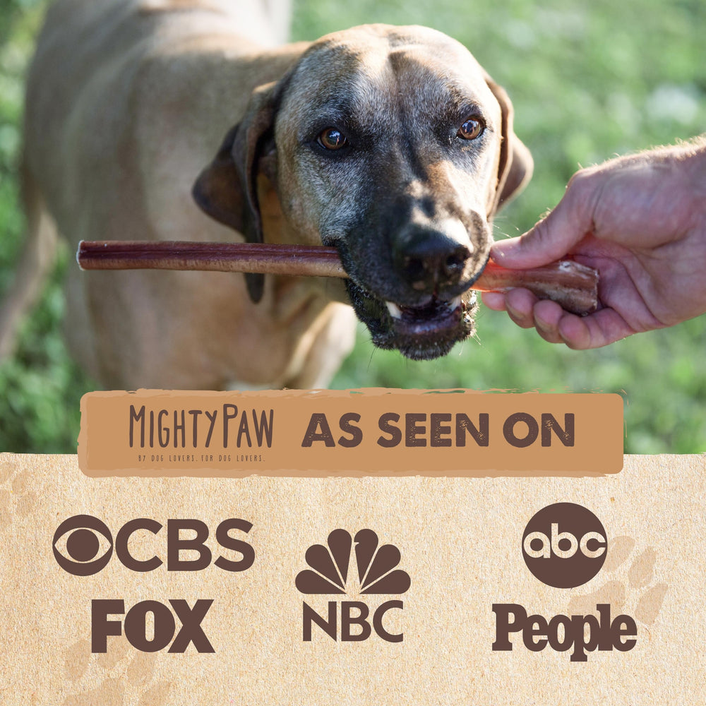 Mighty Paw single-ingredient treat highlighting natural simplicity