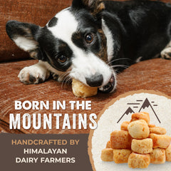 Training moment with Mighty Paw Yak Cheese Puffs as a reward.