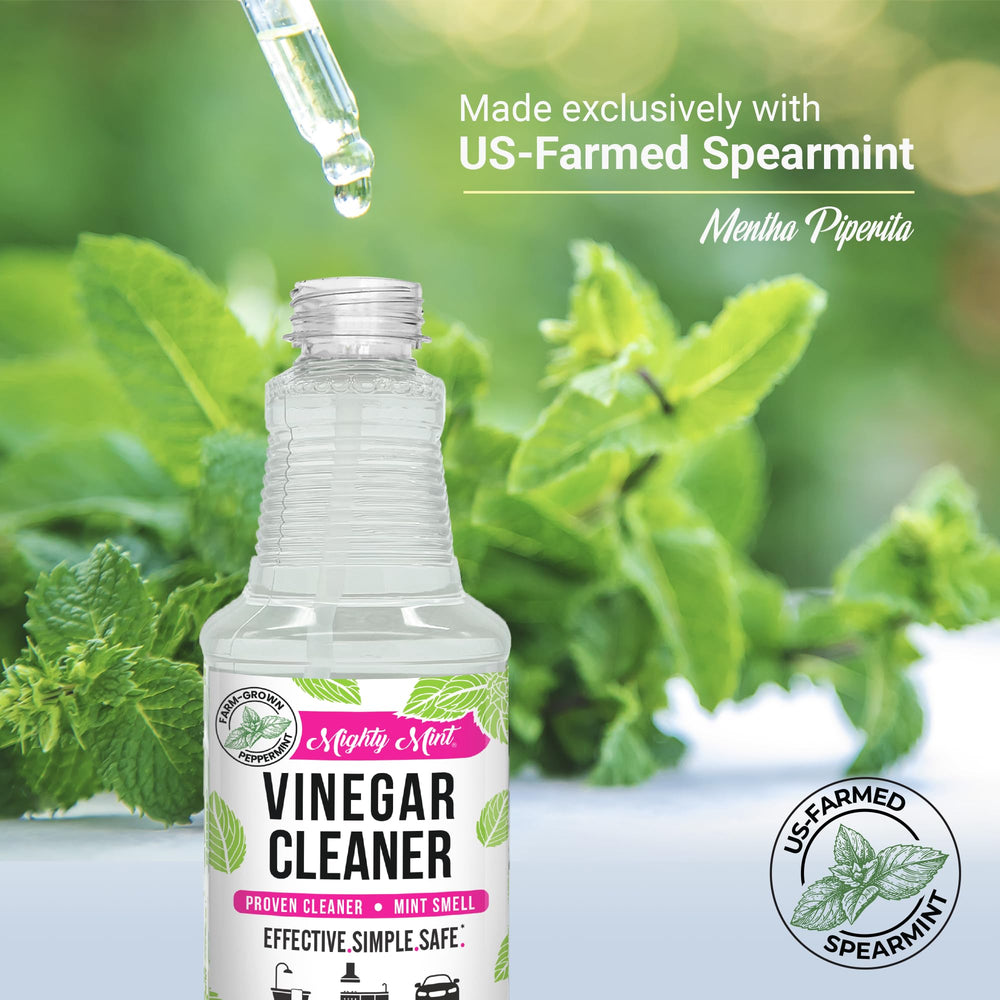 Mighty Mint bathroom surface spray communicates minty freshness with effective grime lifting.