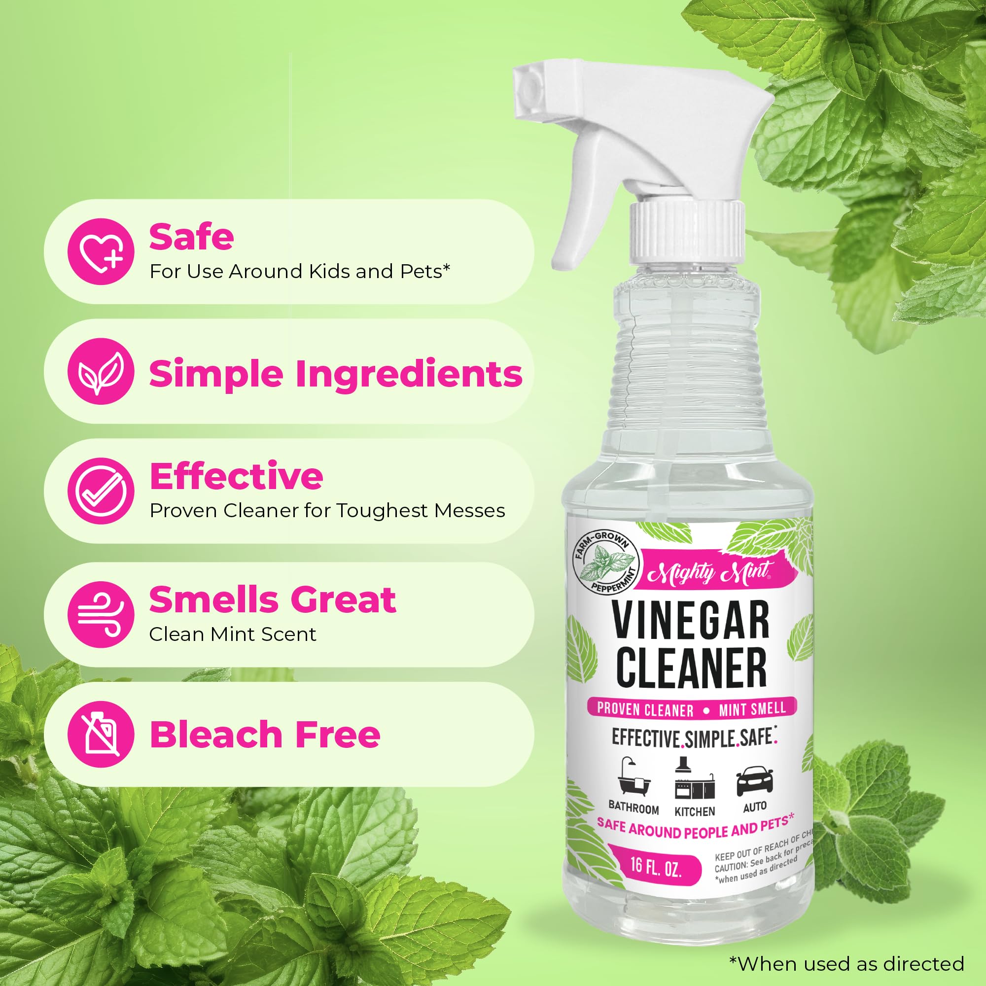 Mighty Mint glass cleaner no streak spray demonstrates clear visibility after use.