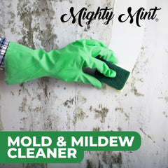 Mighty Mint outdoor use helps decks and siding stay cleaner.