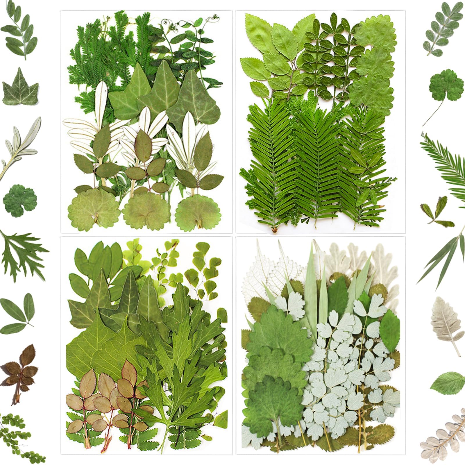 MIKIYA 84Pcs pressed dried leaves variety pack for resin crafts and gifts.