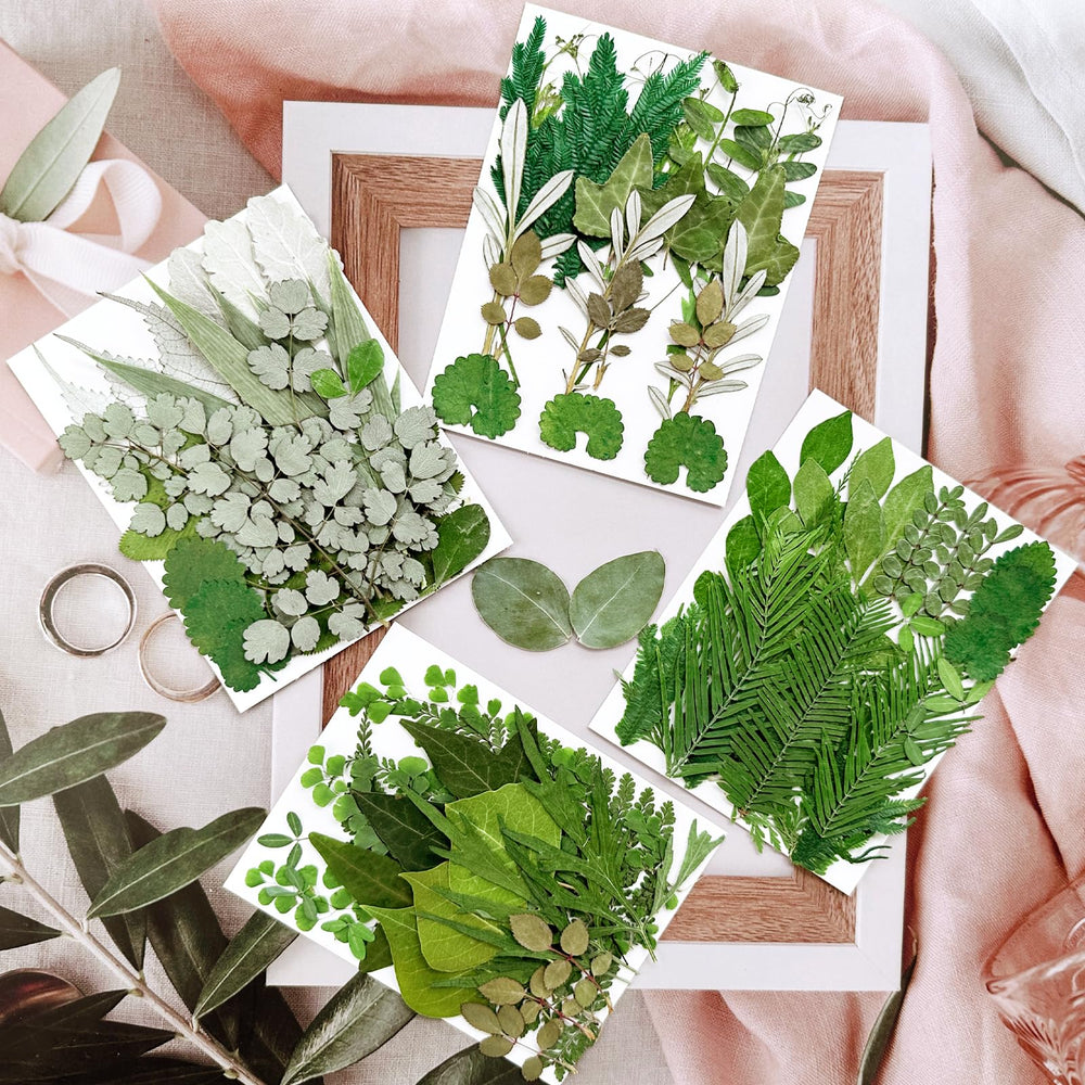 MIKIYA assorted dried leaves ideal for DIY scrapbooking and crafts.