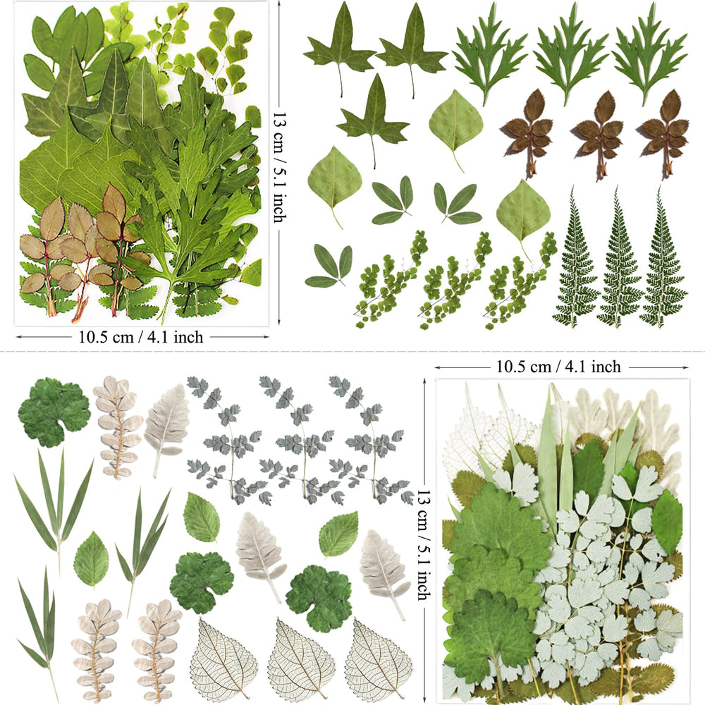 MIKIYA vacuum-packaged dried leaves preserve color for long-lasting crafts.