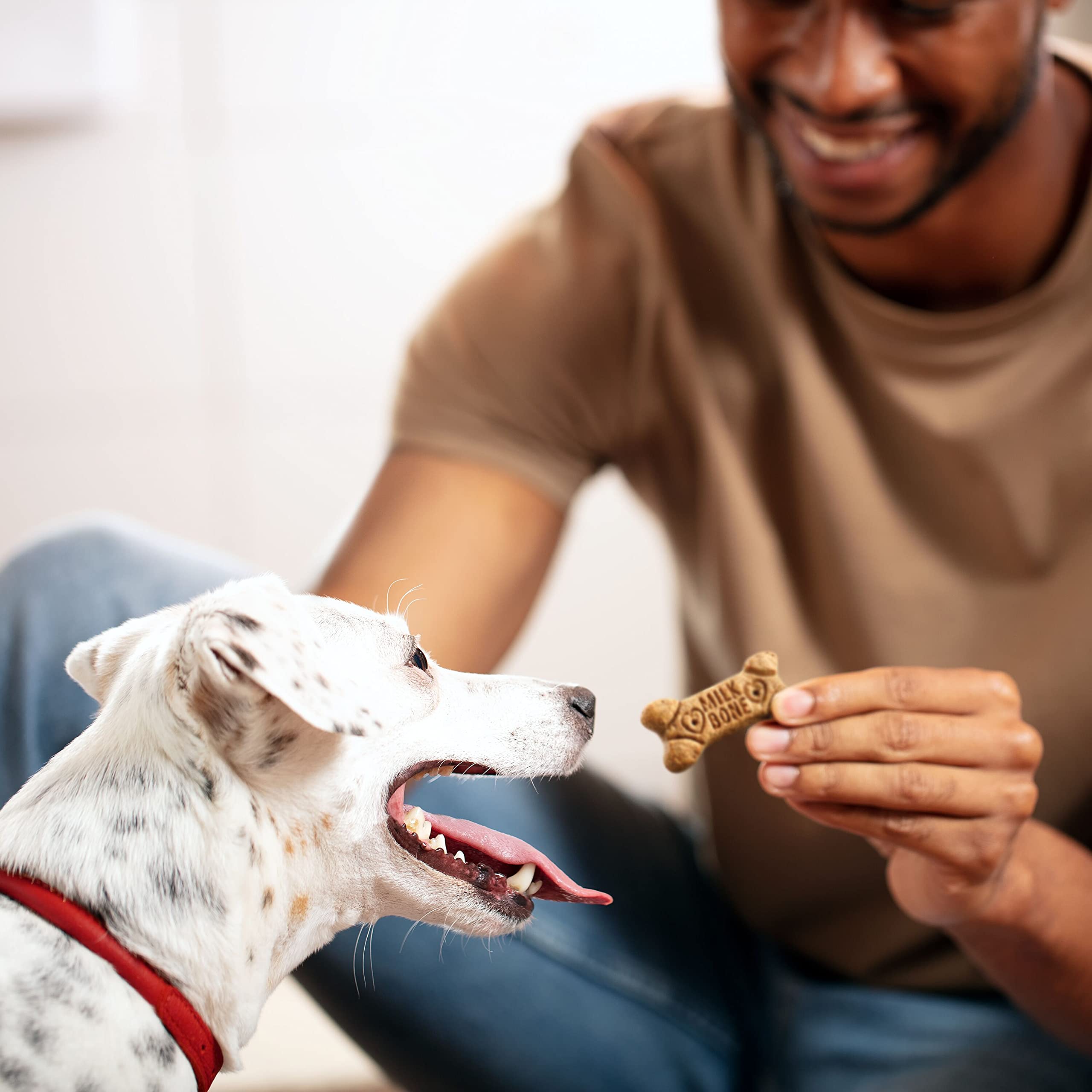 Milk-Bone Flavor Snacks crunchy-texture close-up, may help freshen breath