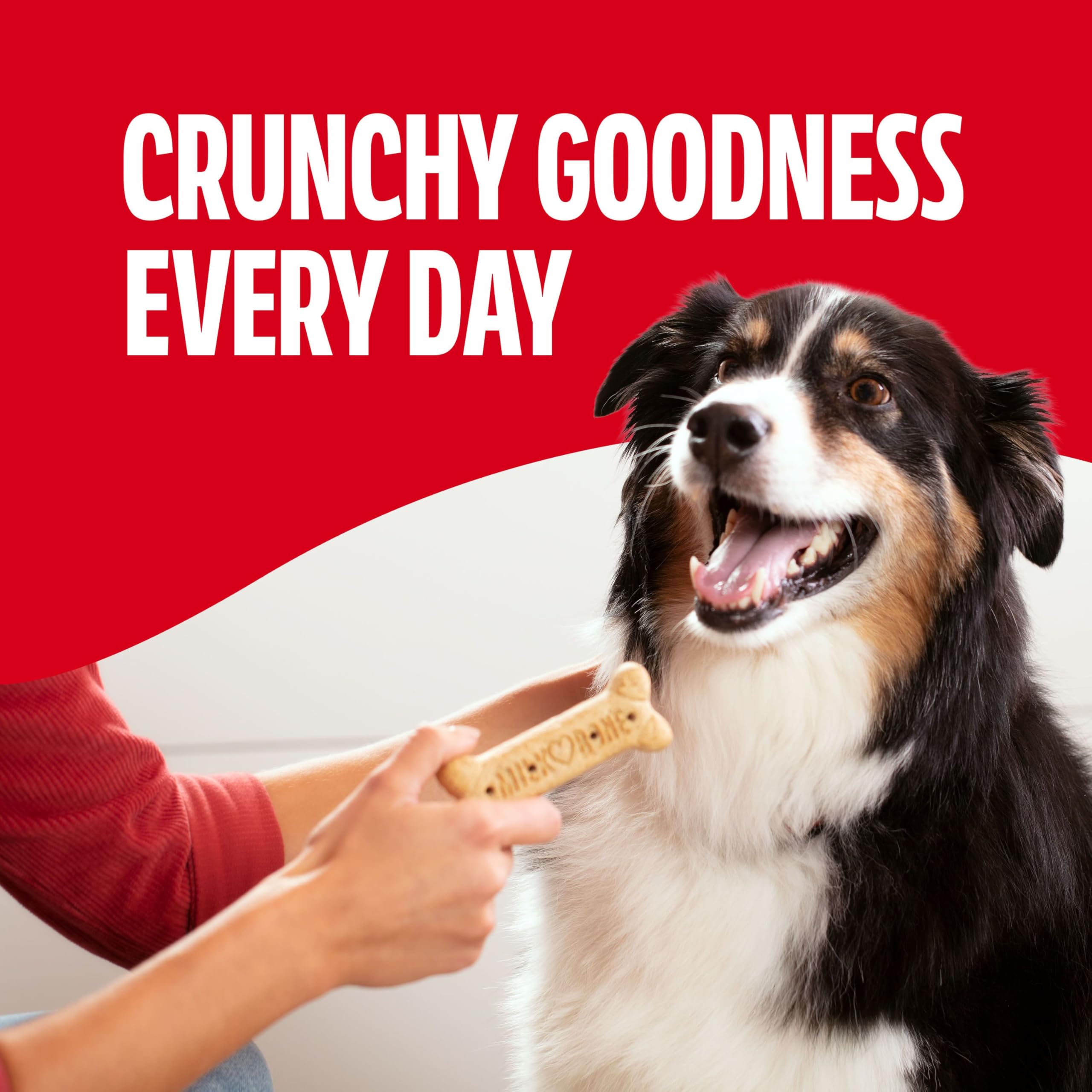 Milk-Bone Original biscuits highlight 15 percent protein in a close-up.