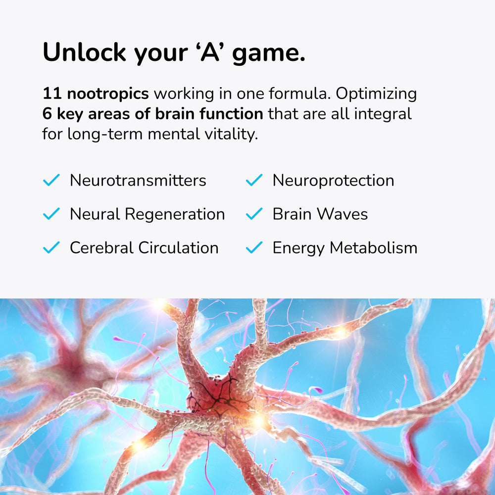 Mind Lab Pro MLP v4 pills closeup shows natural capsules for steady focus