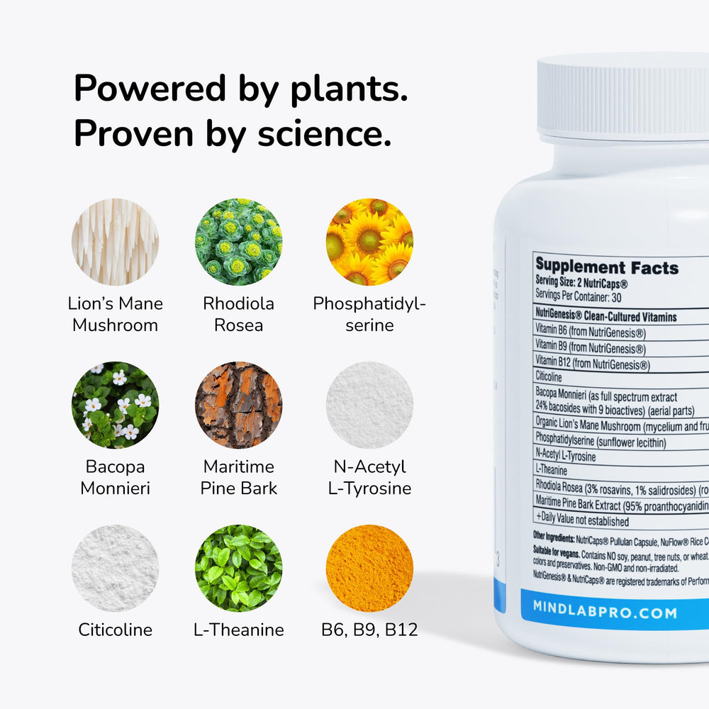 Mind Lab Pro MLP v4 vegan formula highlight plant-based ingredients for clean energy