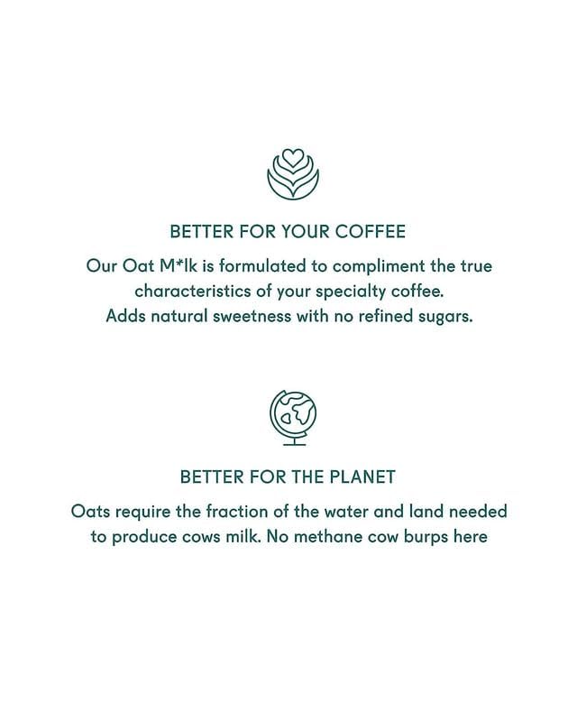 Minor Figures Barista Oat Standard 6-pack box for convenient home and cafe use