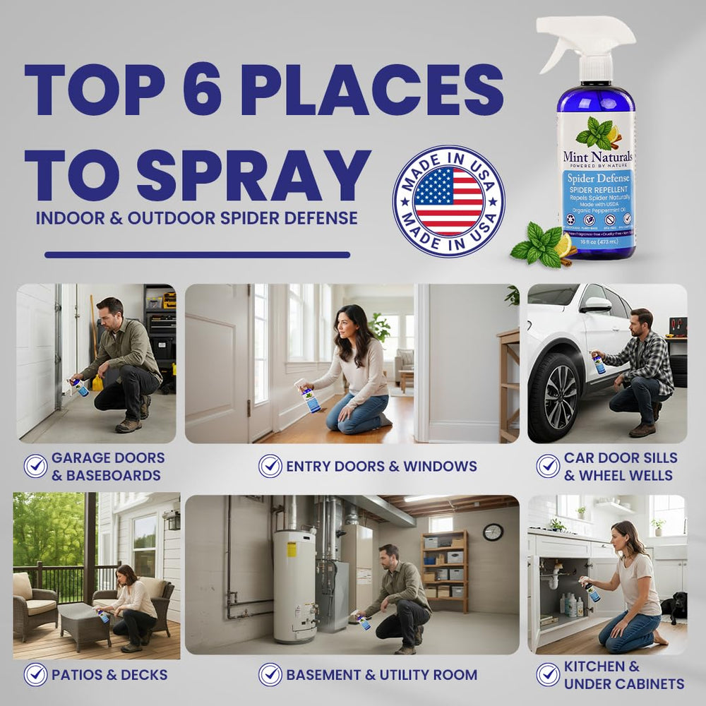 Indoor spray around baseboards and corners by Mint Naturals